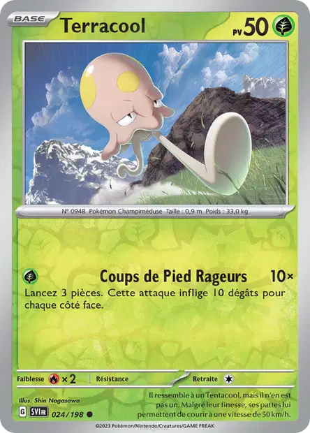 Terracool Reverse